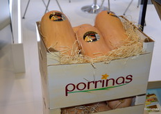 biologische pompoenen bij Porrinas